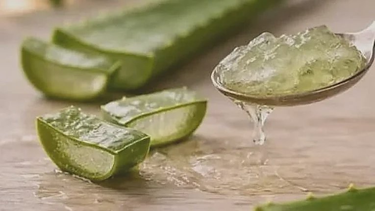 Aloe gel on a spoon beside freshly cut pieces of leaf.